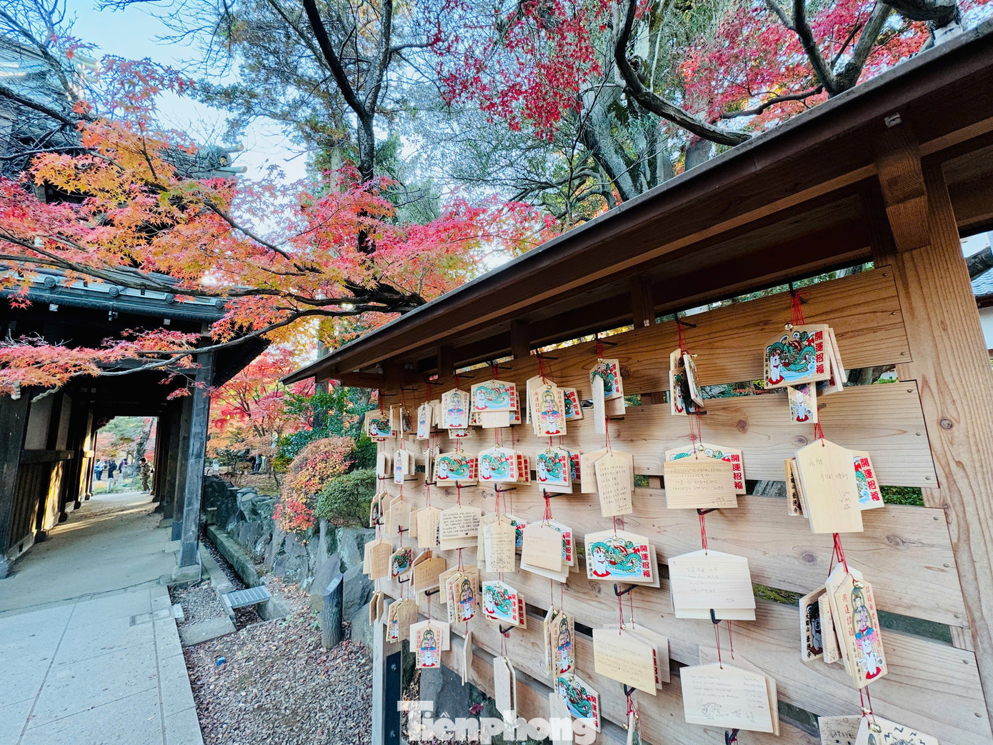 Du khách khi tới thăm địa điểm du lịch tâm linh này thường chọn mua một tấm thẻ gỗ ema rồi viết điều ước của mình lên thẻ. Sau đó treo lên một bức tường gỗ trong đền và chờ đón những phép màu may mắn sẽ đến với mình.