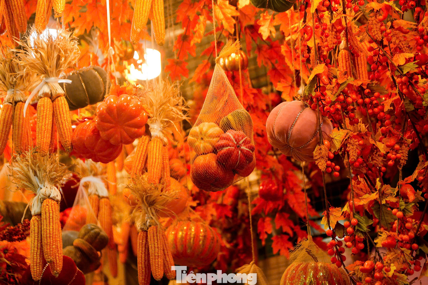 Những ngày đầu tháng 10, các cửa hàng trên phố Hàng Mã (Hoàn Kiếm, Hà Nội) đã thay áo mới, bày bán đồ chơi, trang phục lễ hội hóa trang Halloween (ngày 31/10) Những ngày đầu tháng 10, các cửa hàng trên phố Hàng Mã (Hoàn Kiếm, Hà Nội) đã thay áo mới, bày bán đồ chơi, trang phục lễ hội hóa trang Halloween (ngày 31/10)