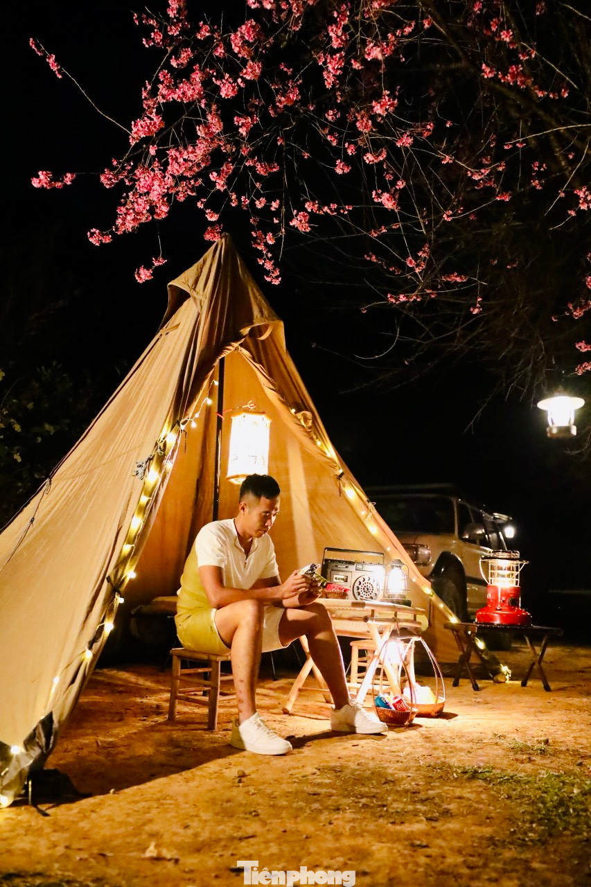 Anh Minh Tuấn đến từ Nha Trang chia sẻ: Gia đình mình muốn đón mùa xuân mới dưới gốc mai anh đào đang độ bung nở đẹp nhất, buổi sáng thức dậy dưới những tán hoa, đón năm mới tươi như hoa".