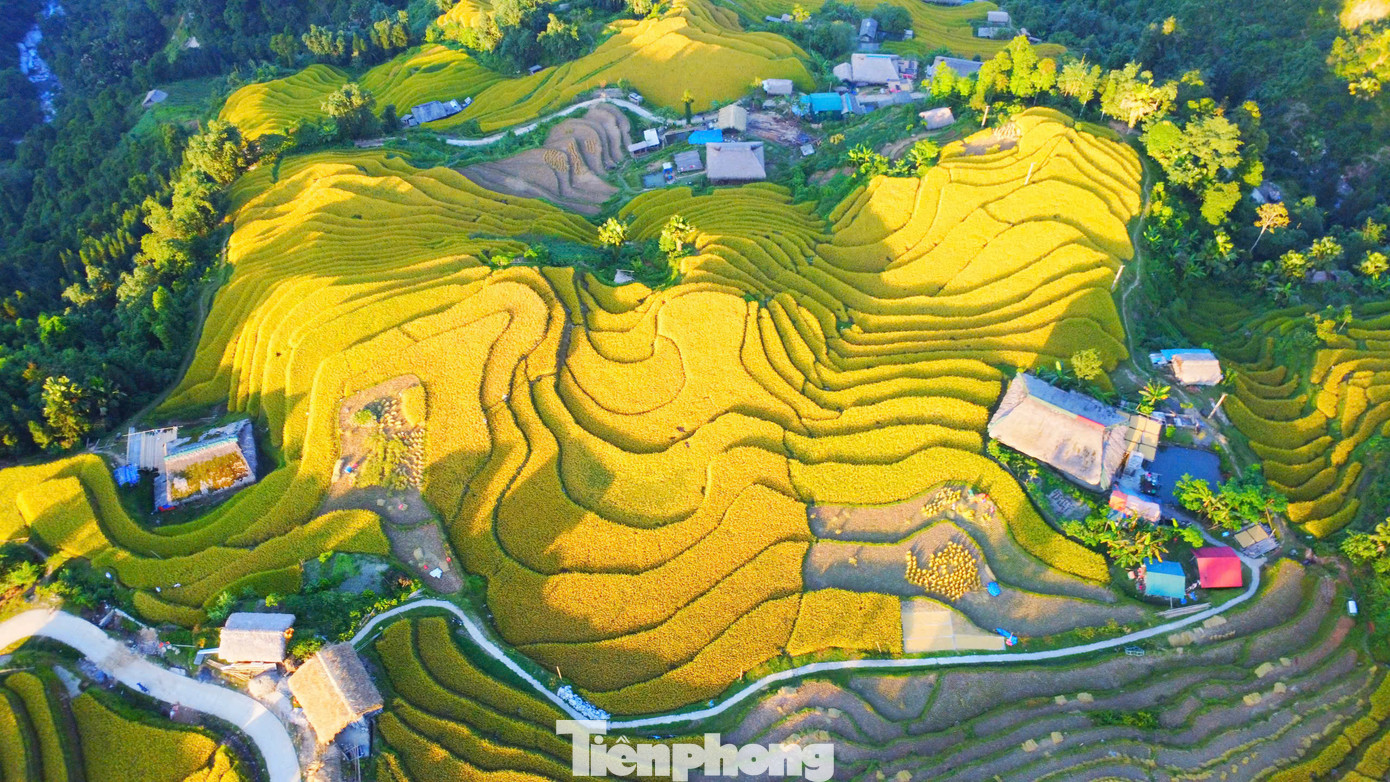 Xà Phìn là thôn vùng cao của xã Phương Tiến, huyện Vị Xuyên, cách TP. Hà Giang khoảng 20km, nằm dưới chân dãy Tây Côn Lĩnh có độ cao trên 1.000m.Thời điểm cuối tháng 9 đầu tháng 10, khi lúa đã ngả màu vàng óng ả trên những thửa ruộng bậc thang, tạo nên một khung cảnh tuyệt đẹp giữa núi rừng trùng điệp.