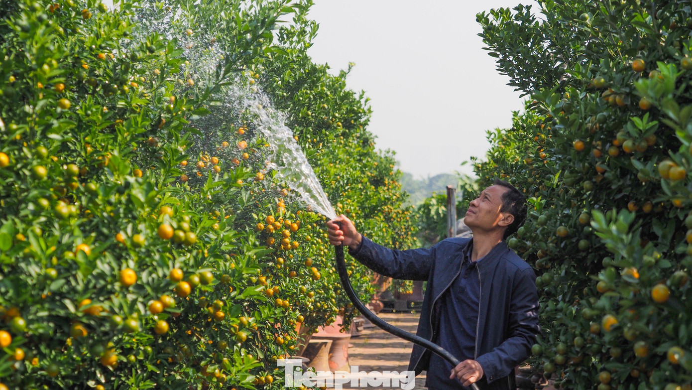 Để tạo ra được tác phẩm nghệ thuật này, đòi hỏi sự tỉ mẩn, chăm chút và bàn tay khéo léo của các nghệ nhân, do vậy giá trị của các chậu này cũng khá cao.