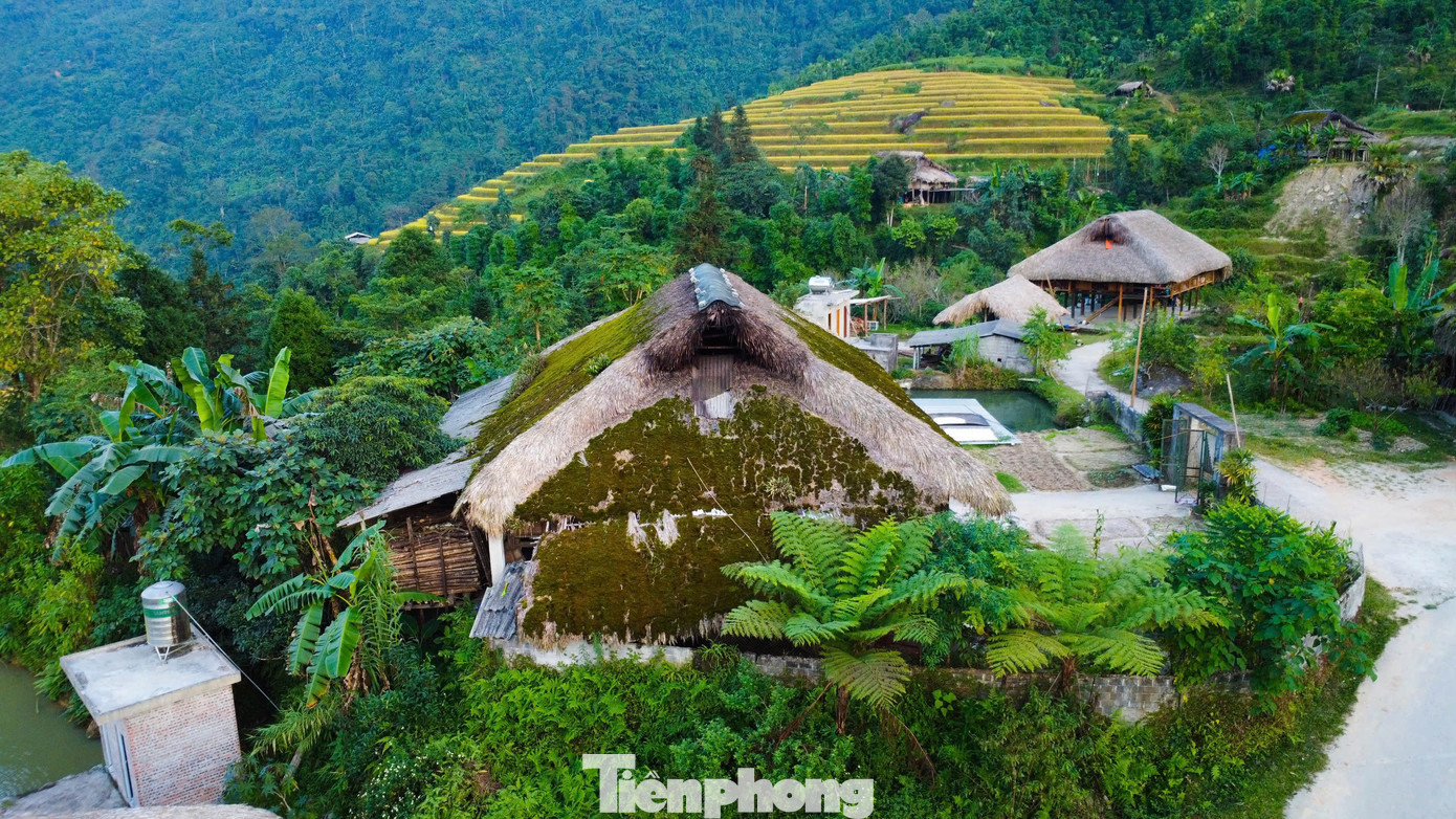 Rêu bao phủ mái nhà quanh năm đã trở nên quen thuộc với người dân nơi đây. Khi vào mùa hè, rêu sẽ khô, có màu ngả vàng do ánh nắng mặt trời chiếu vào. Mùa đông, độ ẩm cao là điều kiện lý tưởng để rêu phát triển xanh tốt.