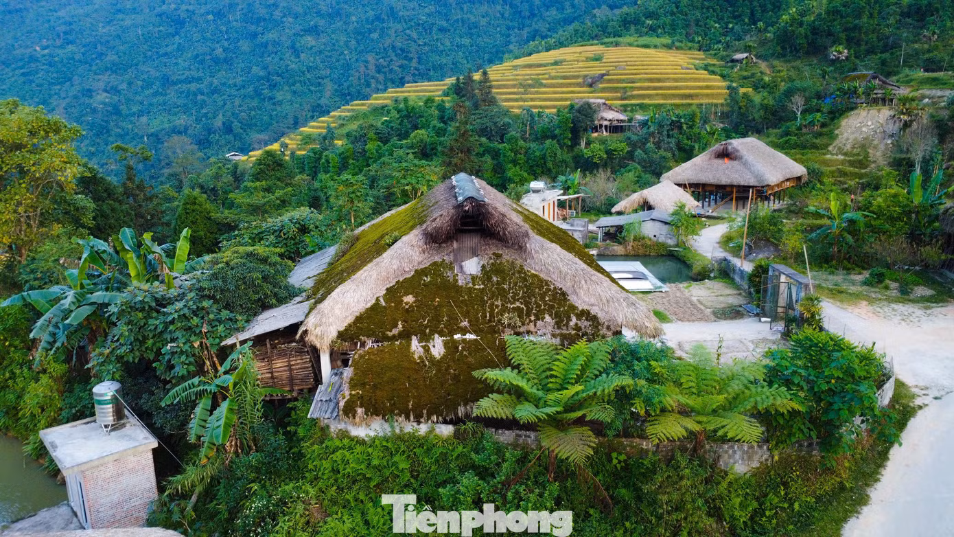Rêu bao phủ mái nhà quanh năm đã trở nên quen thuộc với người dân nơi đây. Khi vào mùa hè, rêu sẽ khô, có màu ngả vàng do ánh nắng mặt trời chiếu vào. Mùa đông, độ ẩm cao là điều kiện lý tưởng để rêu phát triển xanh tốt.