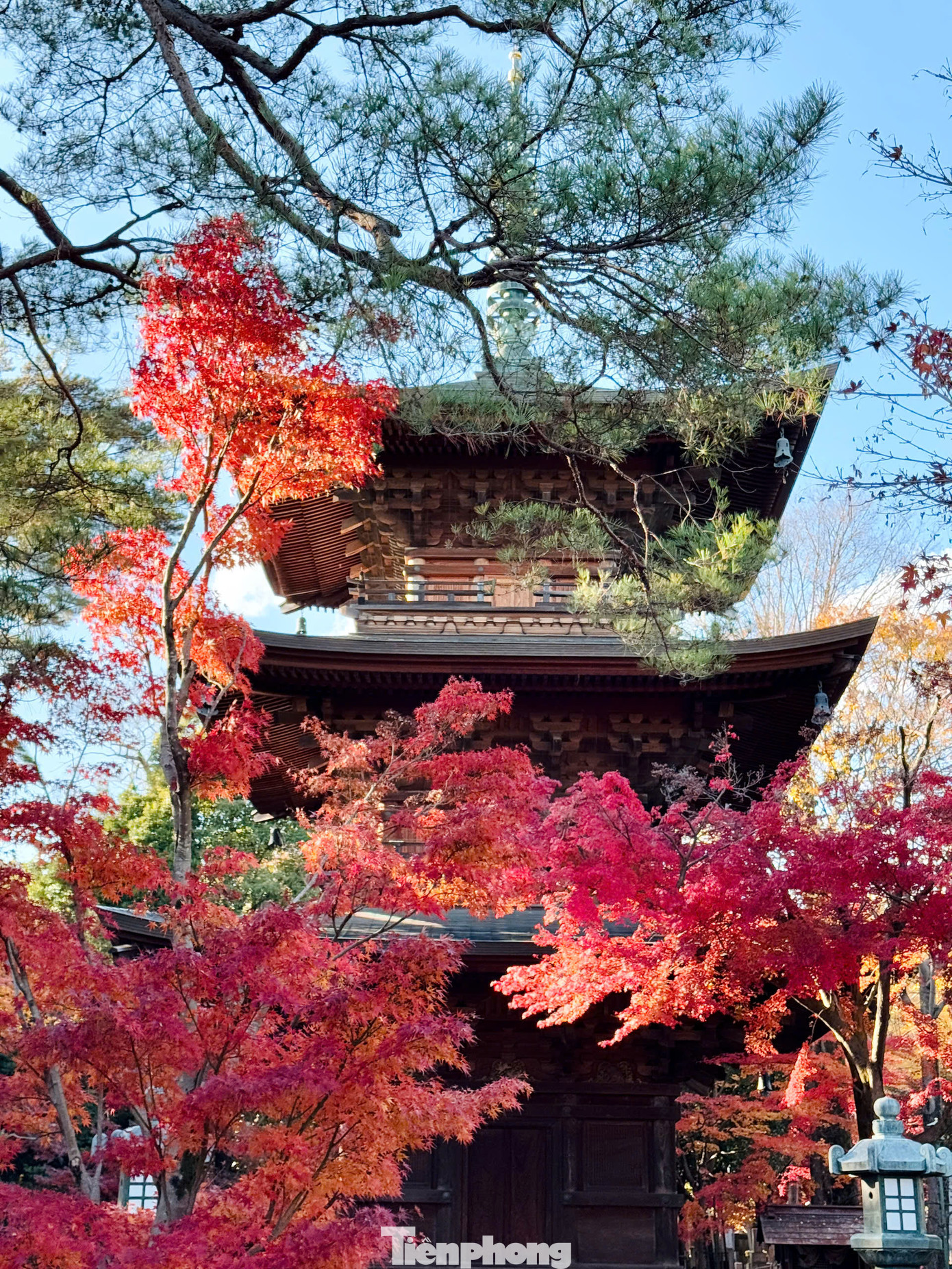 Ngôi đền Gotokuji gây ấn tượng đối với du khách bởi vẻ đẹp kiến trúc đặc sắc. Đền có kiến trúc độc đáo với ba tầng lầu cùng cách thiết kế và trang trí mang đậm nét đẹp đặc sắc của nền văn hóa Nhật Bản.