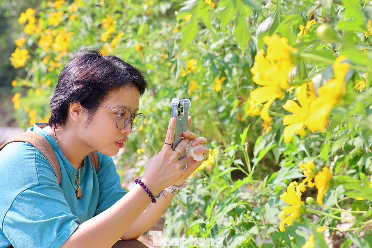Nhóm bạn Đức Lan, Đức Huệ ở quận Hà Đông đã dậy từ 6h sáng, chạy xe máy vượt gần 60 km lên vườn để ngắm hoa, chụp ảnh. Lan chia sẻ: "Hằng năm cứ đến mùa hoa dã quỳ nở là chúng mình lại rủ nhau đến đây săn ảnh. Hoa dã quỳ nở rất đẹp, cùng không khí trong lành nơi đây đã giúp mình được thư thái rất nhiều".