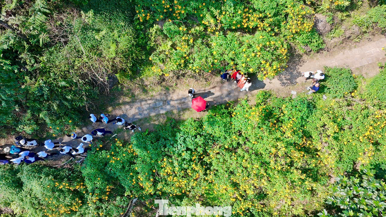 Cách trung tâm Hà Nội khoảng 60km, Ba Vì được thiên nhiên ban tặng cho khu rừng nguyên sinh Vườn quốc gia Ba Vì với thiên nhiên vô cùng trong lành, thoáng mát... Tháng 11, hoa dã quỳ tại Vườn quốc gia Ba Vì vào độ bung nở, khoe sắc vàng rực rỡ đầy sức sống, thuần khiết khắp các triền núi.