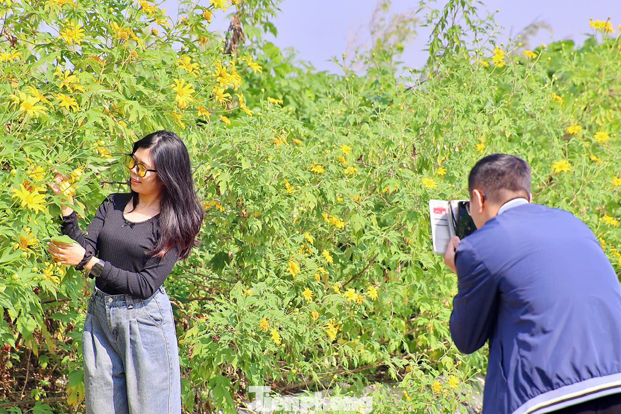 Những ngày cuối tuần vào mùa hoa nở rộ, Vườn quốc gia Ba Vì luôn đông đúc bởi nhiều nhóm bạn trẻ và gia đình đến đây để ngắm hoa, chụp ảnh và cắm trại.