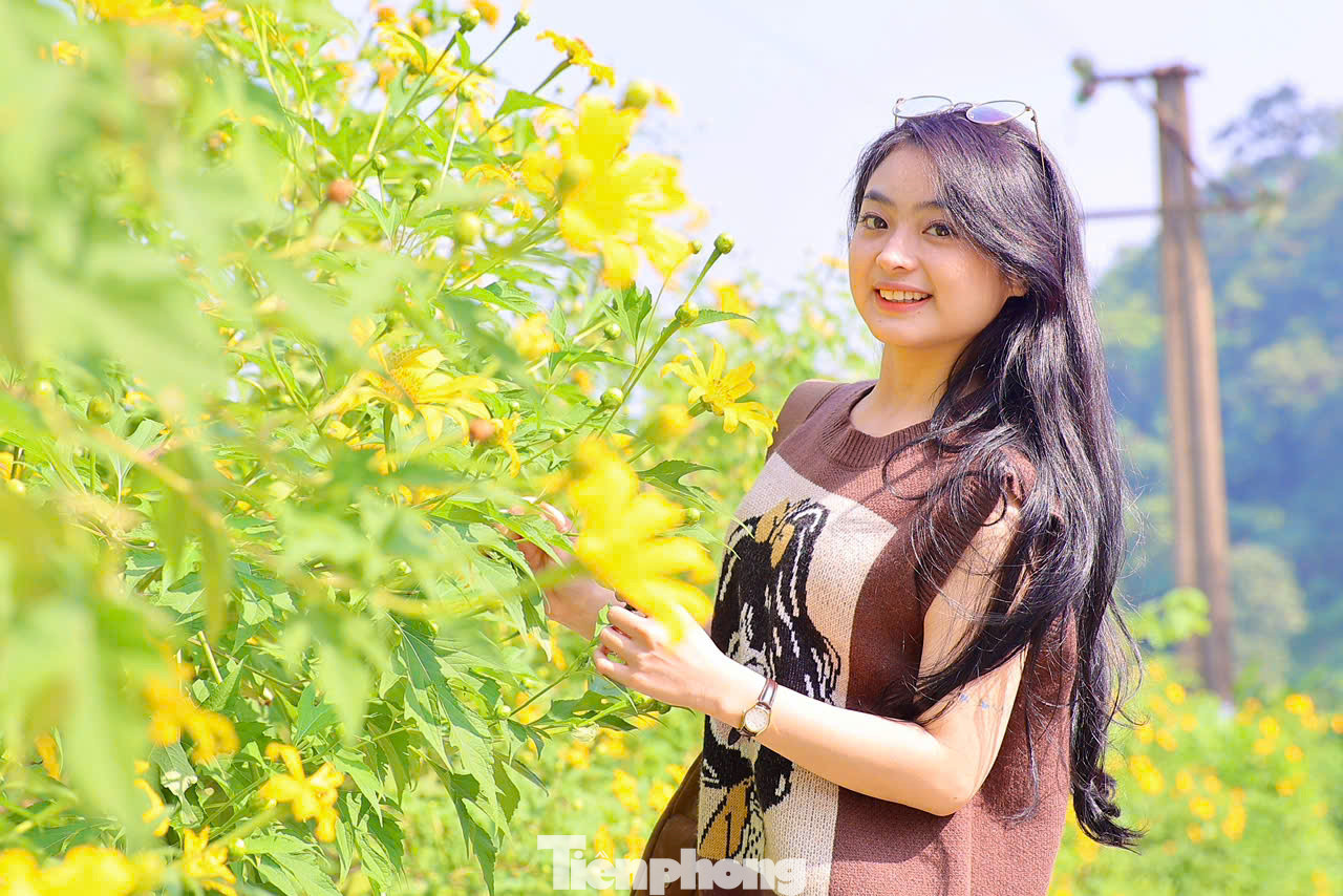 Nhóm bạn Đức Lan, Đức Huệ ở quận Hà Đông đã dậy từ 6h sáng, chạy xe máy vượt gần 60 km lên vườn để ngắm hoa, chụp ảnh. Lan chia sẻ: "Hằng năm cứ đến mùa hoa dã quỳ nở là chúng mình lại rủ nhau đến đây săn ảnh. Hoa dã quỳ nở rất đẹp, cùng không khí trong lành nơi đây đã giúp mình được thư thái rất nhiều".