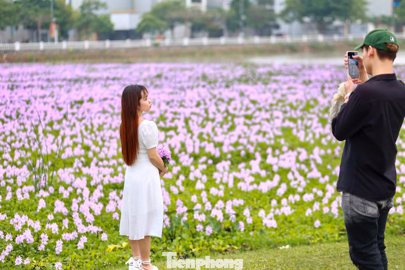 Nơi đây như được khoác lên mình một chiếc áo mới, thu hút giới trẻ tìm đến thưởng ngoạn và ghi lại những khoảnh khắc đẹp.