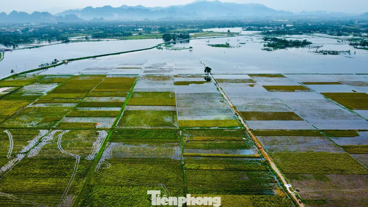 Hoàn lưu bão số 3, nước sông Bùi dâng cao làm các cánh đồng ở xã Mỹ Lương (huyện Chương Mỹ, Hà Nội) ngập nặng.