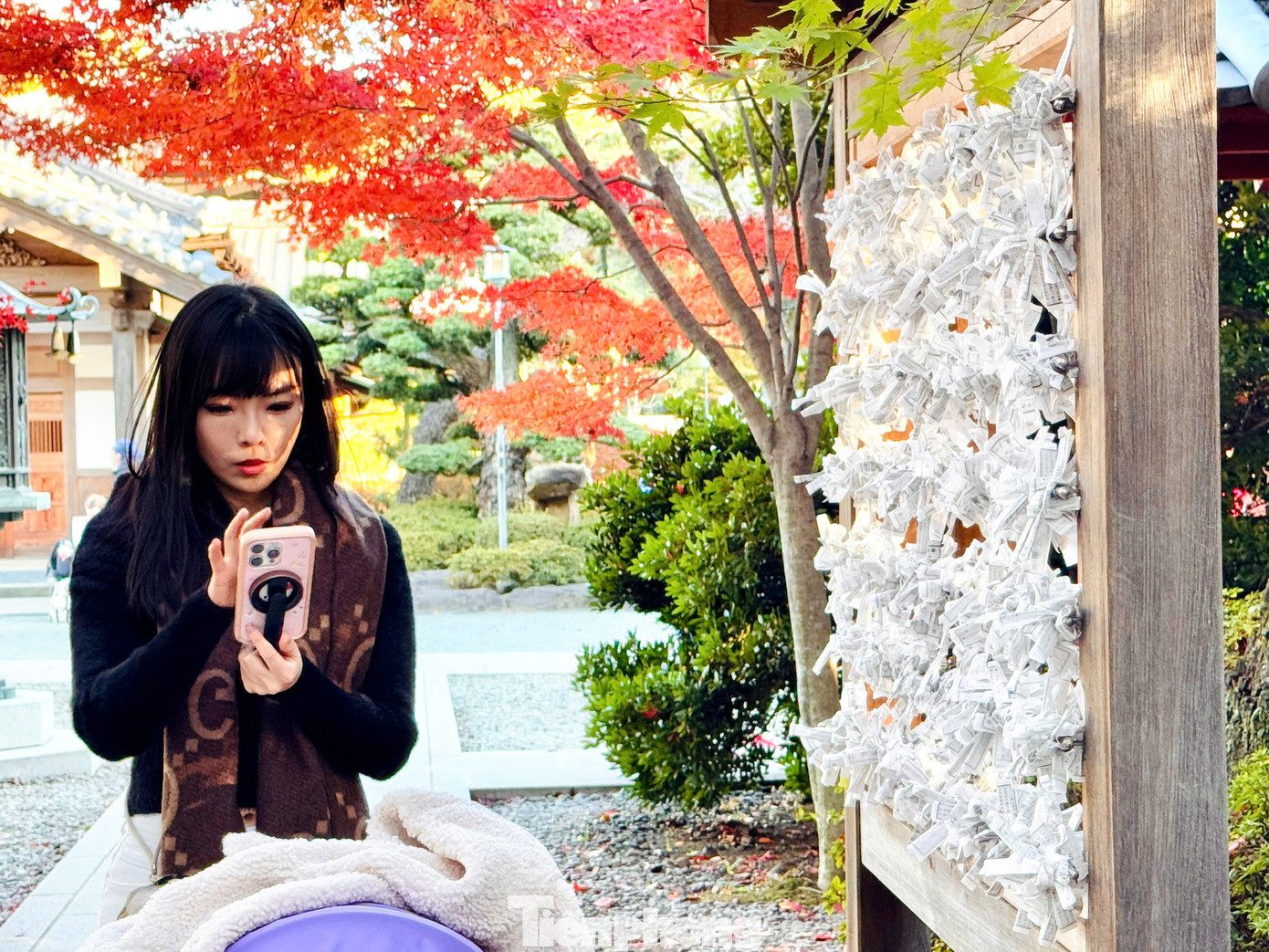 Du khách khi tới thăm địa điểm du lịch tâm linh này thường chọn mua một tấm thẻ gỗ ema rồi viết điều ước của mình lên thẻ. Sau đó treo lên một bức tường gỗ trong đền và chờ đón những phép màu may mắn sẽ đến với mình.