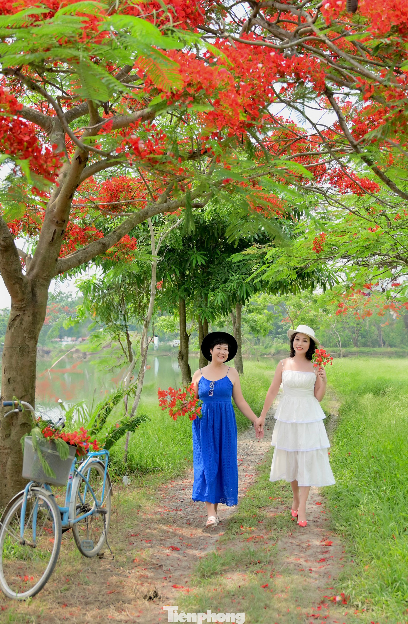 Hai bạn Thanh Lê và Hồng Liên vượt gần 25km từ nội thành sang đây chia sẻ: "Sắc đỏ của hoa phượng gợi nhớ một thời ngẩn ngơ của tuổi học trò, chúng mình tranh thủ ngày cuối tuần sang đây để săn những khoảnh khắc đẹp nhất với hàng phượng vĩ".