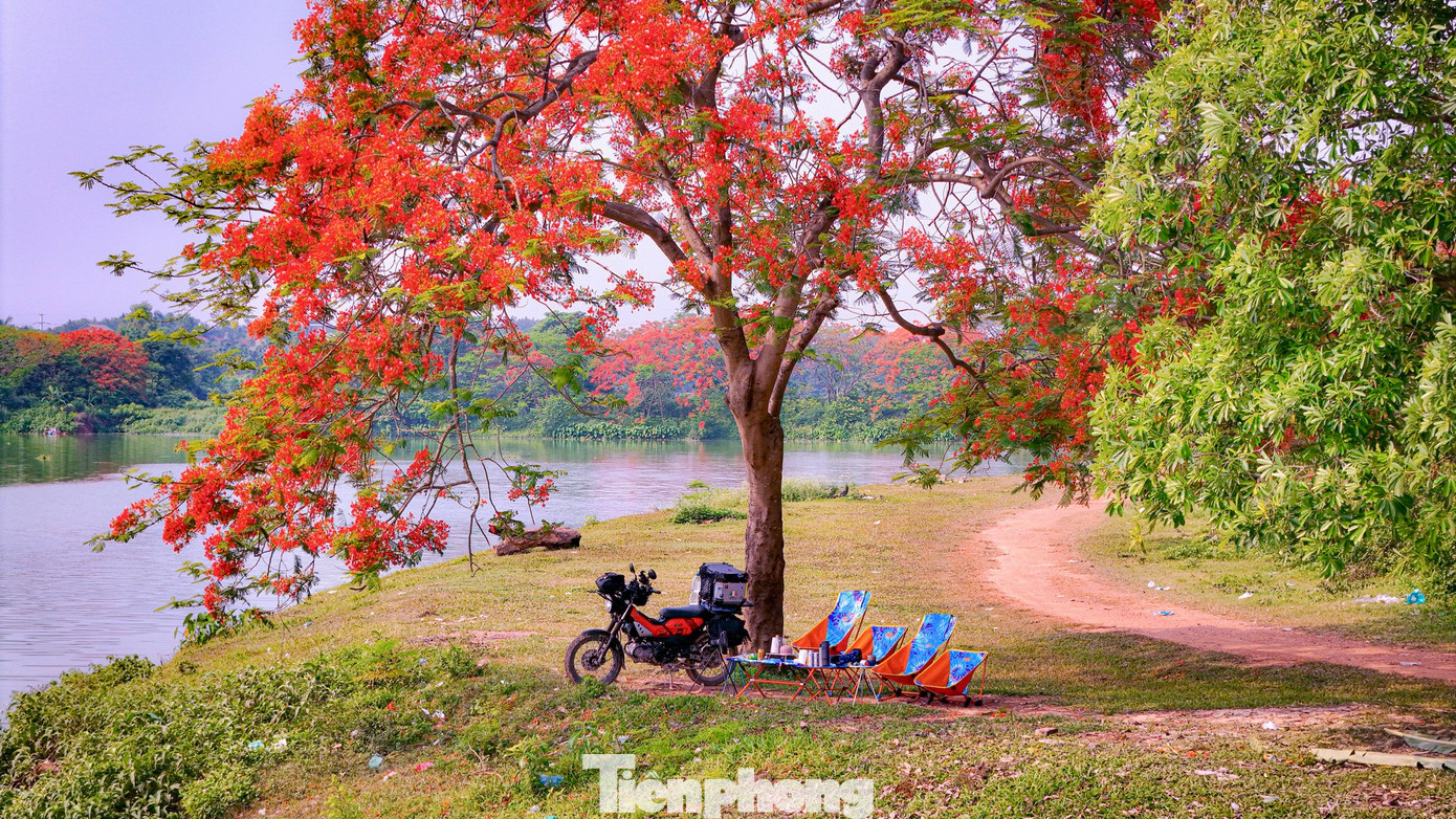 Đây cũng là điểm cắm trại, dã ngoại cuối tuần quen thuộc của nhiều bạn trẻ từ trung tâm thành phố sang “trốn nóng” mùa hè. Anh Chu Đức Việt, một du khách đam mê cắm trại dã ngoại chia sẻ: "Hoa phượng ở đầm đang vào giai đoạn nở đẹp nhất và kéo dài tới cuối tháng 5. Quanh đầm Vân Trì không có dịch vụ quán xá, không thu phí du khách đến ngắm hoa chụp ảnh nên thu hút rất đông du khách, các bạn nhớ thu dọn rác sau khi ra về để không gian luôn được thoáng đãng, sạch sẽ".