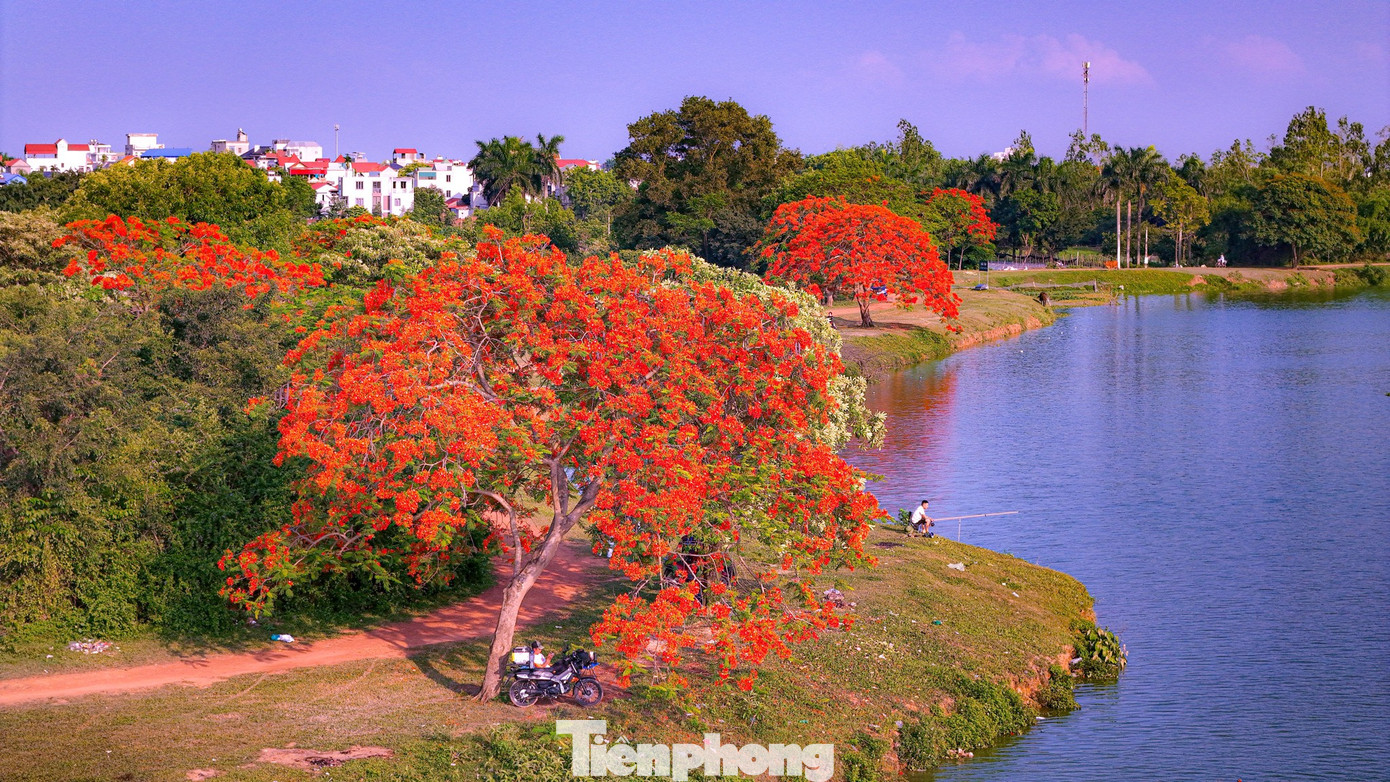 Đây cũng là điểm cắm trại, dã ngoại cuối tuần quen thuộc của nhiều bạn trẻ từ trung tâm thành phố sang “trốn nóng” mùa hè. Anh Chu Đức Việt, một du khách đam mê cắm trại dã ngoại chia sẻ: "Hoa phượng ở đầm đang vào giai đoạn nở đẹp nhất và kéo dài tới cuối tháng 5. Quanh đầm Vân Trì không có dịch vụ quán xá, không thu phí du khách đến ngắm hoa chụp ảnh nên thu hút rất đông du khách, các bạn nhớ thu dọn rác sau khi ra về để không gian luôn được thoáng đãng, sạch sẽ".