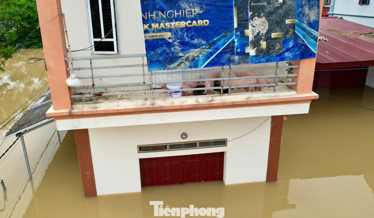 Nước lũ đổ về, cuộc sống gia đình nhiều hộ dân ở thôn Lương Phúc đã bị đảo lộn. Ông Nguyễn Ngọc Sắt, thôn Lương Phúc (xã Việt Long) cho biết: "Từ lúc tôi sinh ra và lớn lên ở đây, lần đầu tiên tôi chứng kiến trận lụt to thế này, nhiều nhà mất trắng tài sản vì nước dâng nhanh không kịp trở tay".