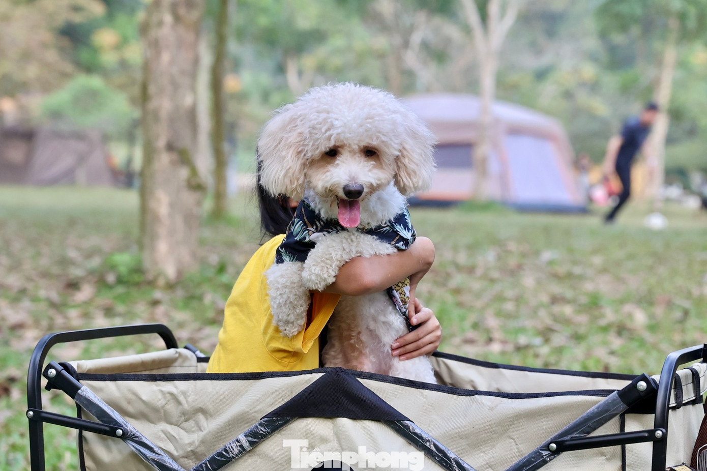 Tới đây, các bạn nhỏ được hòa mình vào với thiên nhiên...