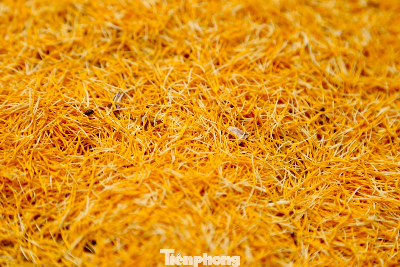 Để làm ra một kg trà sen, nghệ nhân cần tới 1.000-1.200 bông sen. Mọi công đoạn ướp trà sen đều được làm thủ công hoàn toàn. Các công đoạn chế biến được thực hiện một cách cầu kỳ và tỉ mỉ, đặc biệt đều được thực hiện hoàn toàn bằng thủ công. Cô Thân (ở phố Tô Ngọc Vân, quận Tây Hồ) chia sẻ: "Để ra được thức trà đặc biệt hồ Tây với hương vị tinh túy nhất cần qua 7 lần ủ gạo và sấy. Cứ một lớp trà rồi đến một lớp mỏng gạo sen, sau cùng phủ một lớp giấy. Càng ướp nhiều lần hương sen càng quyện, trà càng thơm".