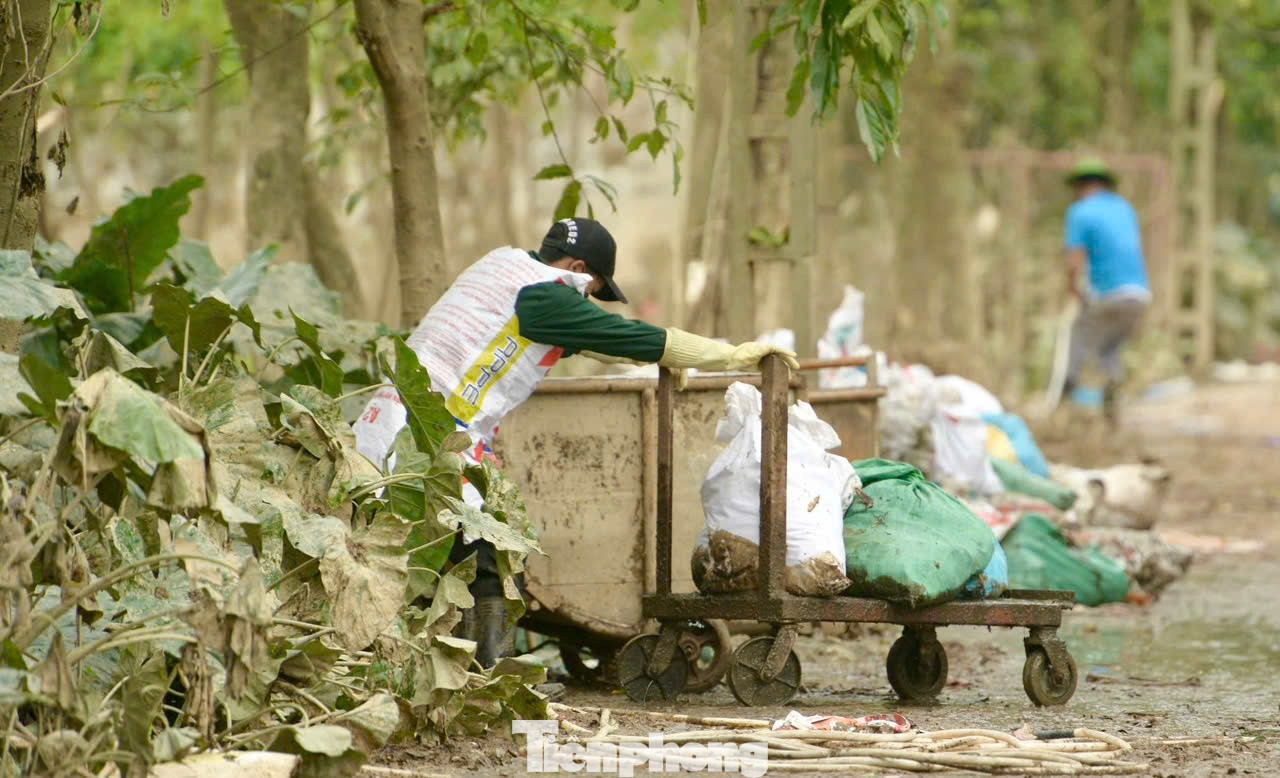 6 ngày sau cơn bão, ông Đoàn huy động toàn bộ thành viên trong gia đình cùng hàng chục nhân công tiến hành thu dọn, tiêu huỷ gà. Chính quyền cũng cử người đến giúp gia đình đào hố chôn lớn, phủ bạt, rắc vôi khử trùng và phun thuốc sát khuẩn.