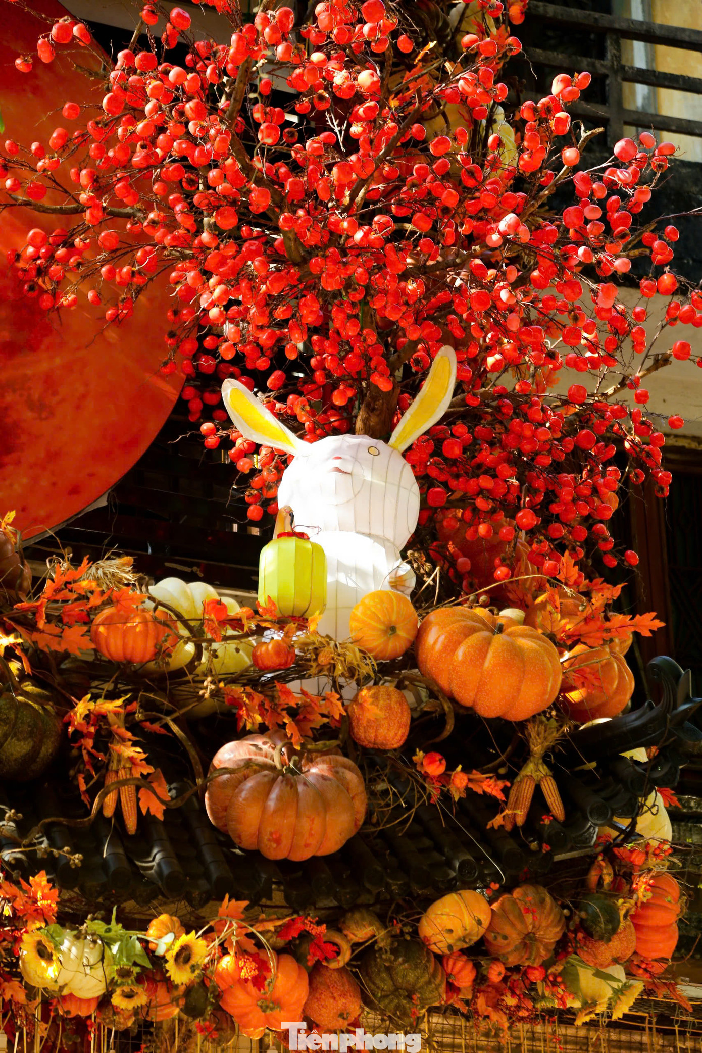 Không khí Halloween với 2 gam màu chủ đạo cam, đen. Các mặt hàng bán chạy nhất thời điểm hiện tại là giỏ đựng kẹo hình bí ngô và đèn bí ngô trang trí. Giá các loại sản phẩm chỉ từ vài chục cho đến vài trăm ngàn đồng, cũng có những sản phẩm đặc biệt có giá lên tới hàng triệu đồng. Không khí Halloween với 2 gam màu chủ đạo cam, đen. Các mặt hàng bán chạy nhất thời điểm hiện tại là giỏ đựng kẹo hình bí ngô và đèn bí ngô trang trí. Giá các loại sản phẩm chỉ từ vài chục cho đến vài trăm ngàn đồng, cũng có những sản phẩm đặc biệt có giá lên tới hàng triệu đồng.