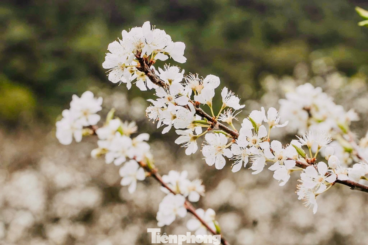 Trước cảnh sắc thiên nhiên hùng vĩ tuyệt đẹp, rất nhiều gia đình và bạn trẻ đã chọn nơi đây làm điểm đến để check-in, chụp ảnh, thỏa sức hòa mình với thiên nhiên. Trước cảnh sắc thiên nhiên hùng vĩ tuyệt đẹp, rất nhiều gia đình và bạn trẻ đã chọn nơi đây làm điểm đến để check-in, chụp ảnh, thỏa sức hòa mình với thiên nhiên.