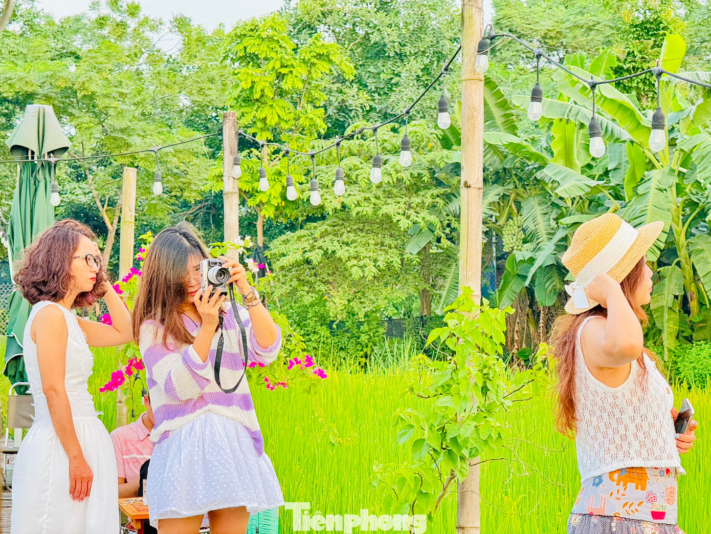 Trên ruộng lúa rộng khoảng gần 2.000m2 giữa cánh đồng của làng, quán cà phê chỉ đơn giản với 5 chiếc chòi lợp lá cọ, không điều hòa, không máy lạnh, hòa mình hoàn toàn với thiên nhiên đã thực sự khiến các gia đình vô cùng thích thú.