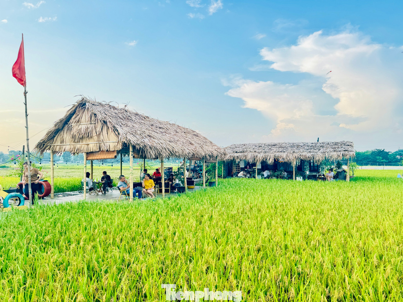 Với nhiều bạn trẻ, từ lâu quán cà phê ngon không phụ thuộc hoàn toàn vào vị giác mà còn phụ thuộc bởi không gian chill của quán. Quán không có điều hòa, chỉ với vài chiếc chòi lợp lá cọ giữa cánh đồng thơm phức mùa lúa chín ở ngoại ô Hà Nội.