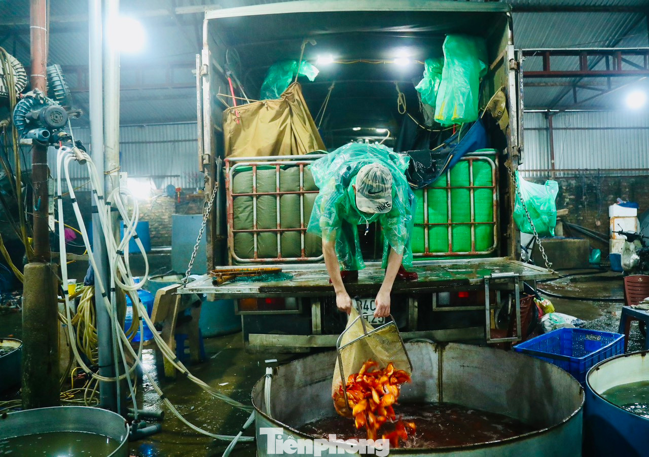 Cá chép ngay khi tới chợ liền được các chủ hàng chuyển sang các chậu nước lớn, sau đó bơm ôxy đảm bảo cá vẫn sống khỏe trong 3-4 ngày tới. Cá chép ngay khi tới chợ liền được các chủ hàng chuyển sang các chậu nước lớn, sau đó bơm ôxy đảm bảo cá vẫn sống khỏe trong 3-4 ngày tới.