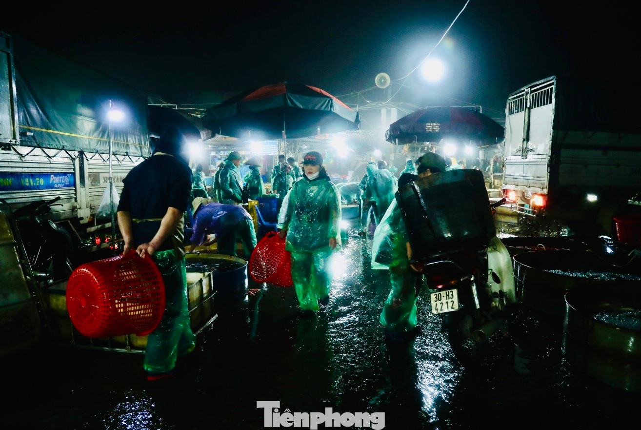 Thời tiết sáng sớm có mưa rét, không còn cảnh chen chúc, xếp hàng mua cá như mọi năm. Thời tiết sáng sớm có mưa rét, không còn cảnh chen chúc, xếp hàng mua cá như mọi năm.