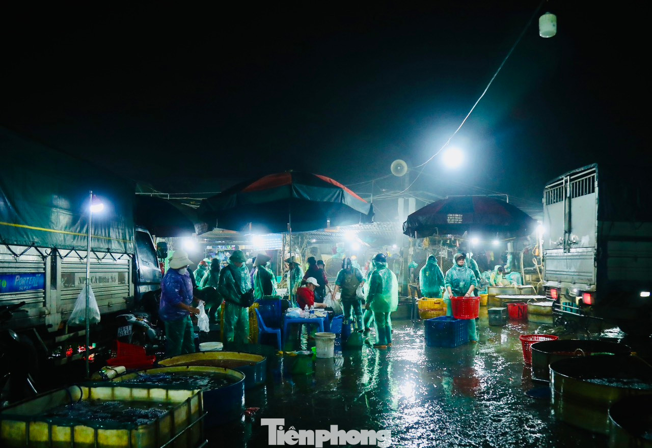 Ngay từ sáng sớm 31/1 (tức 21 tháng chạp) chợ cá Yên Sở đã tấp nập xe cộ chở cá chép về bán phục vụ người dân cúng Tết ông Công, ông Táo. Ngay từ sáng sớm 31/1 (tức 21 tháng chạp) chợ cá Yên Sở đã tấp nập xe cộ chở cá chép về bán phục vụ người dân cúng Tết ông Công, ông Táo.