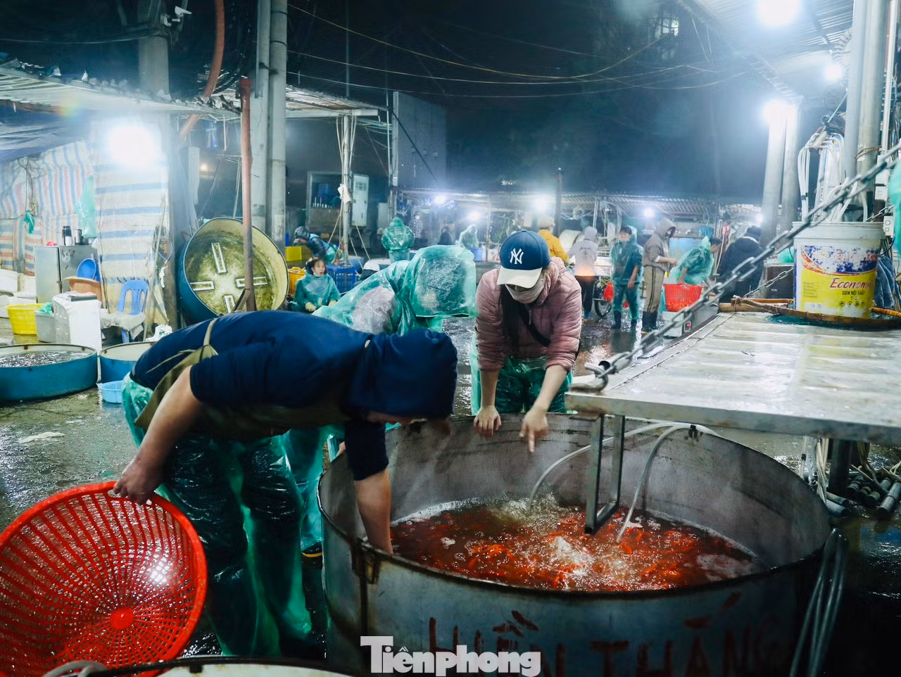 Các tiểu thương buôn bán cá lâu năm tại chợ cho biết năm, nay nguồn cung cấp cá dồi dào, cá chép có kích thước và màu sắc tươi đẹp nhưng sức mua không bằng năm trước.