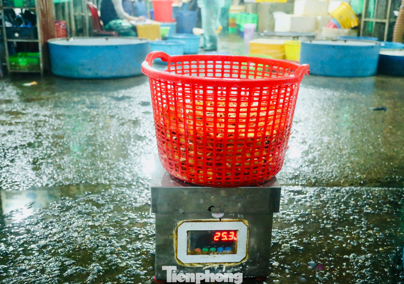 Sau khi mua được lượng cá tại chợ Yên Sở (Hà Nội), các tiểu thương nhỏ hối hả đem về bán tại các chợ dân sinh khu vực nội thành. Sau khi mua được lượng cá tại chợ Yên Sở (Hà Nội), các tiểu thương nhỏ hối hả đem về bán tại các chợ dân sinh khu vực nội thành.