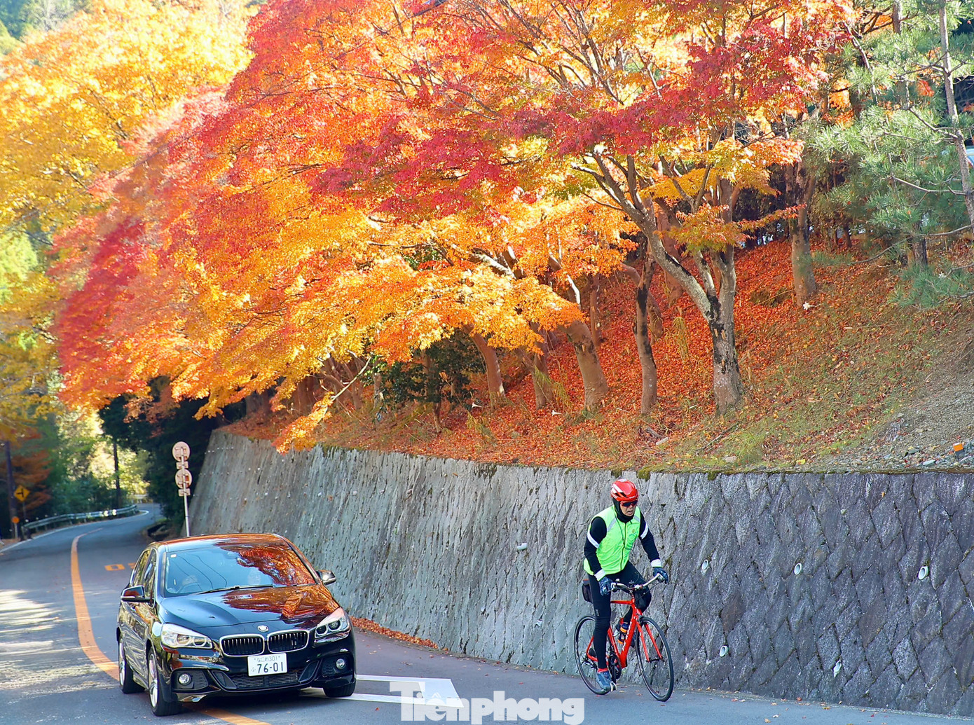 Những ngày đầu tháng 12, trên khắp các ngọn đồi, con phố ở Nhật Bản được phủ kín bởi những rừng cây lá đỏ, lá vàng.