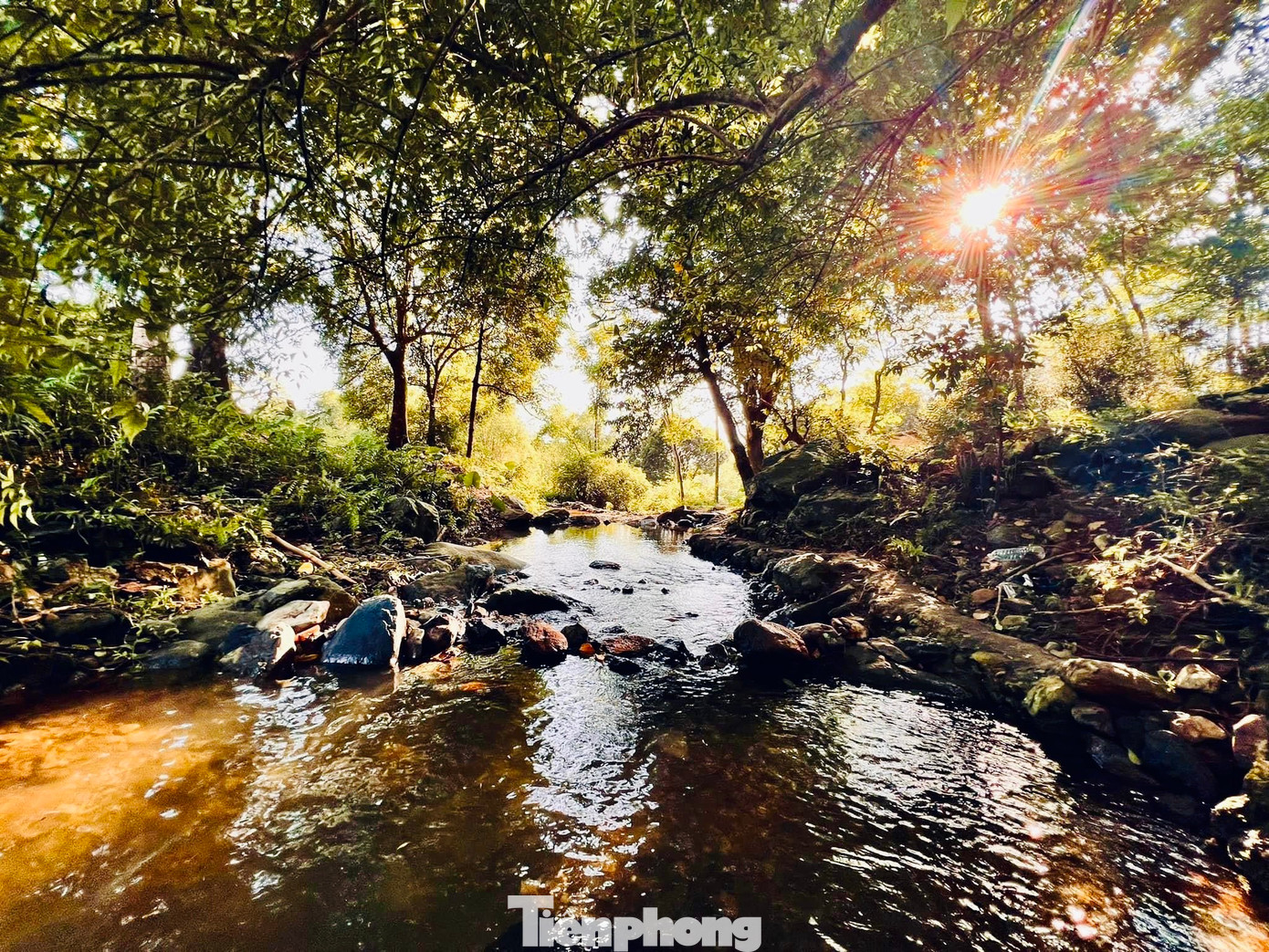 Chỉ cách trung tâm Hà Nội khoảng 30km, đây là địa điểm mới được nhiều bạn trẻ lựa chọn khi đi du lịch trong ngày.