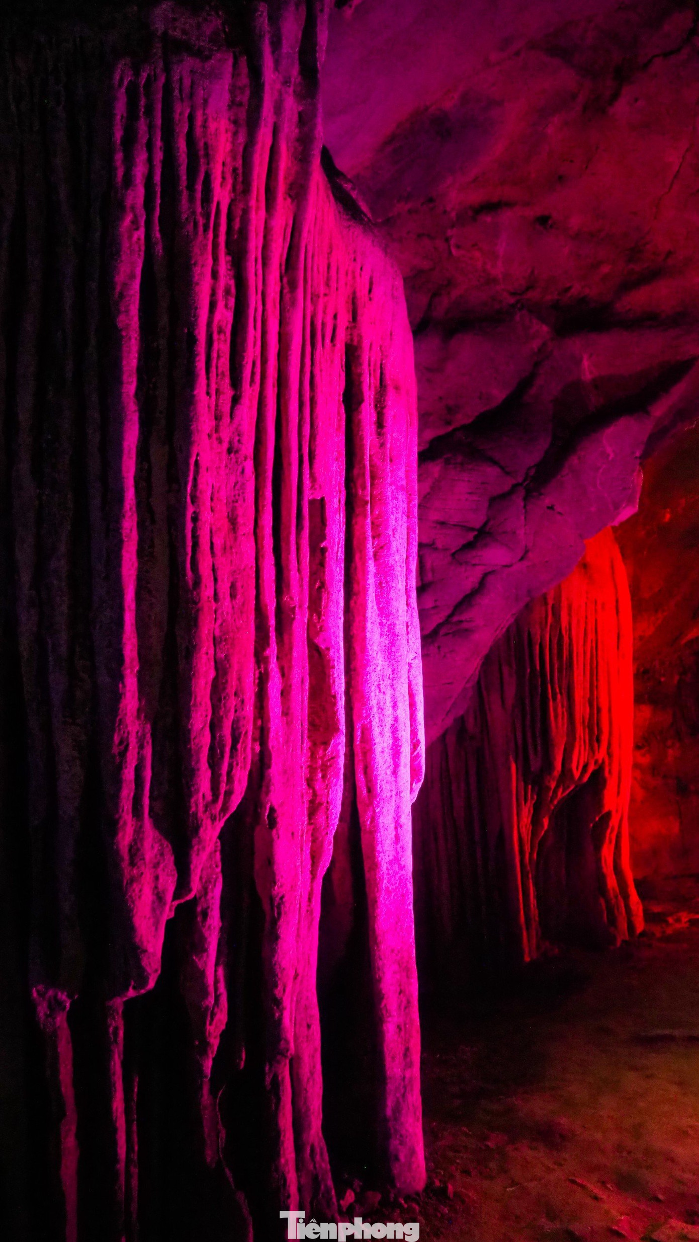 Nhiều nhũ đá lại tựa như những bông hoa mẫu đơn, bông hoa quỳnh. Đặc biệt hoa mẫu đơn thì nhiều hơn cả vì trong truyền thuyết đây cũng là loài hoa làm nên cơ duyên chàng Từ Thức gặp Tiên.