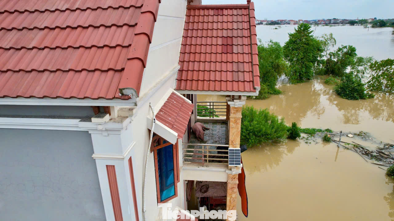 Nước lũ đổ về, cuộc sống gia đình nhiều hộ dân ở thôn Lương Phúc đã bị đảo lộn. Ông Nguyễn Ngọc Sắt, thôn Lương Phúc (xã Việt Long) cho biết: "Từ lúc tôi sinh ra và lớn lên ở đây, lần đầu tiên tôi chứng kiến trận lụt to thế này, nhiều nhà mất trắng tài sản vì nước dâng nhanh không kịp trở tay".