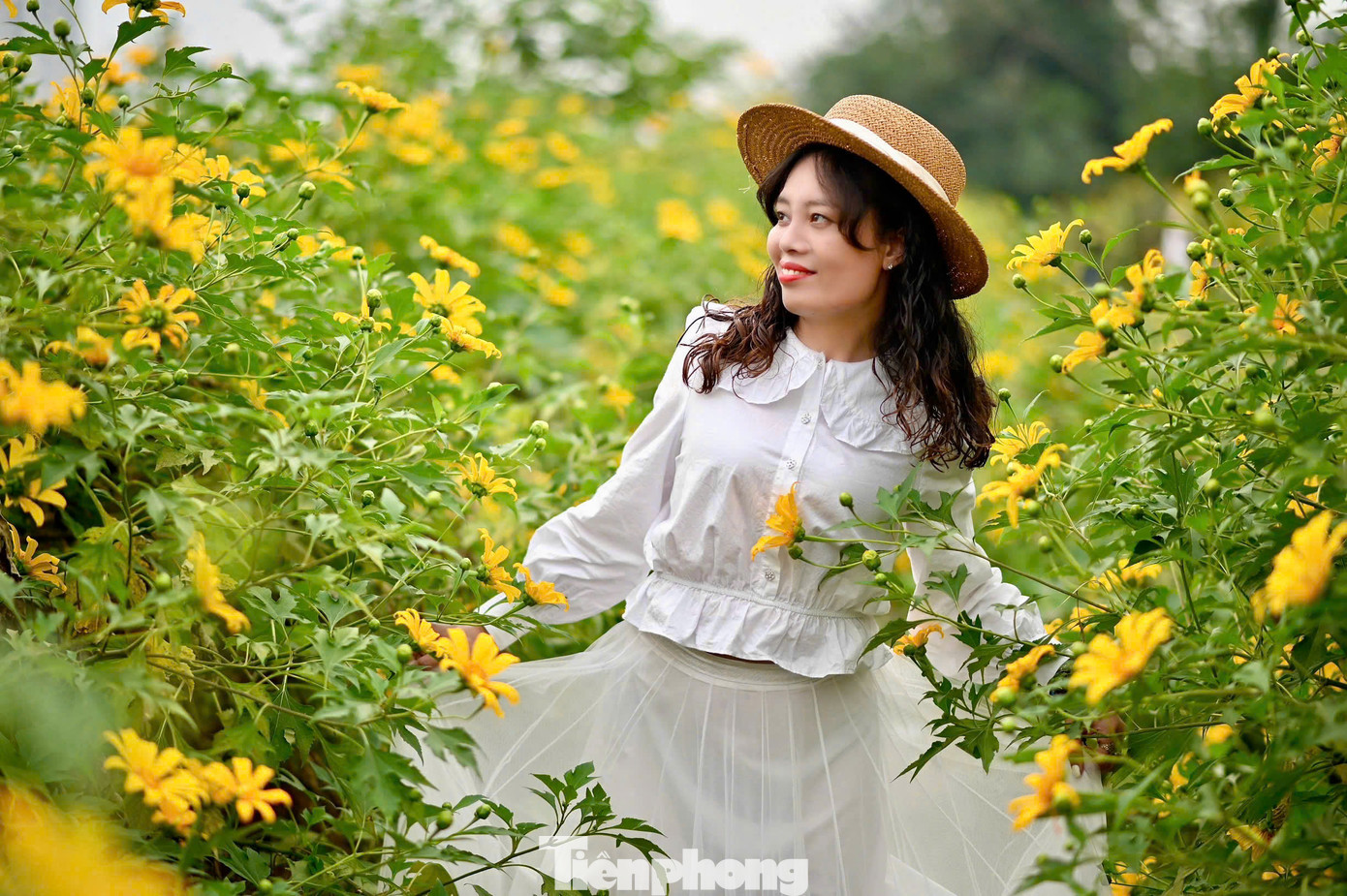 Bạn Bích Liên, (quận Cầu Giấy) chia sẻ: "Khi đến vườn hoa ở Xuân Đỉnh, bản thân rất bất ngờ trước vẻ đẹp của nơi đây, tôi cùng nhóm bạn vô cùng thích thú, đã có 1 buổi chụp hình ưng ý".