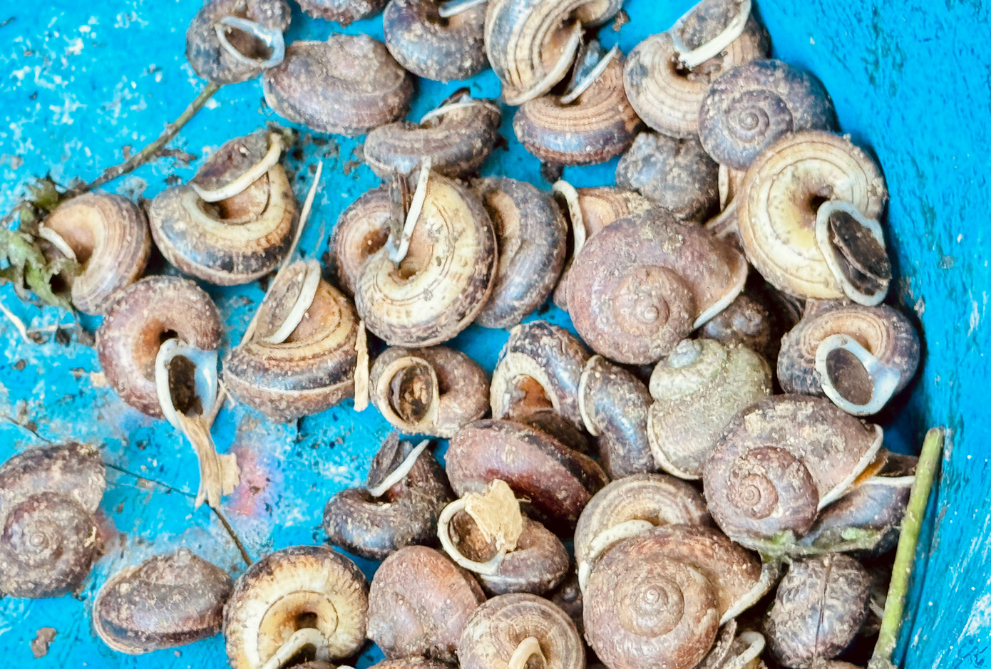 Những trải nghiệm như đi mò ốc suối, câu cá cũng là 1 lựa chọn rất thú vị.