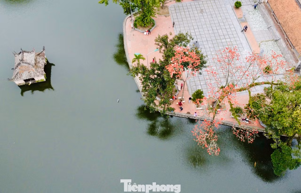 Hoa gạo nở phủ kín sân chùa Cả, soi bóng hồ Long Trì. Hoa gạo nở phủ kín sân chùa Cả, soi bóng hồ Long Trì.