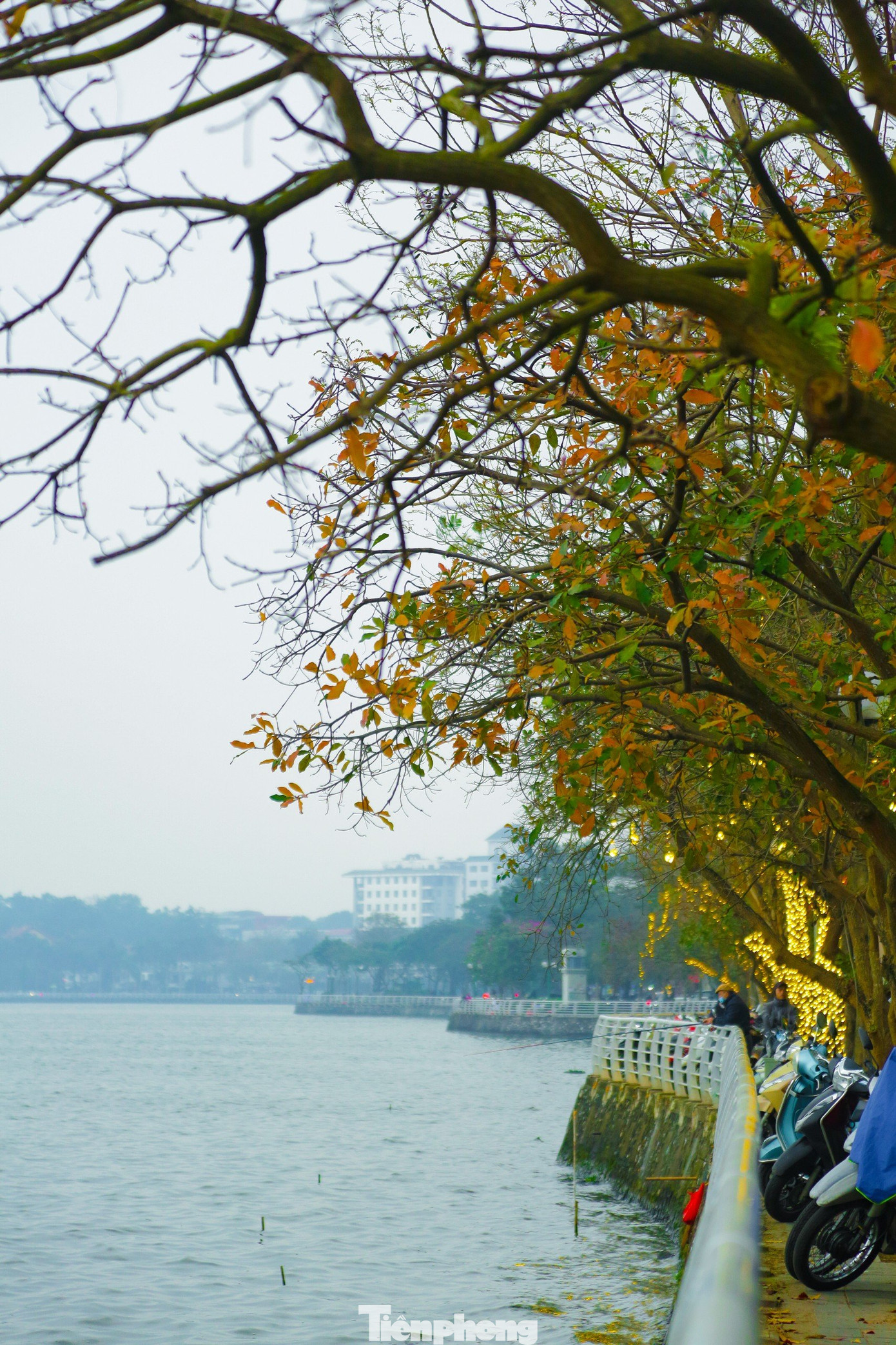 Tháng 3, Hà Nội bước vào mùa cây thay lá. Trên khắp nẻo đường, góc phố, cảnh vật bỗng trở nên lung linh đầy màu sắc và thơ mộng.