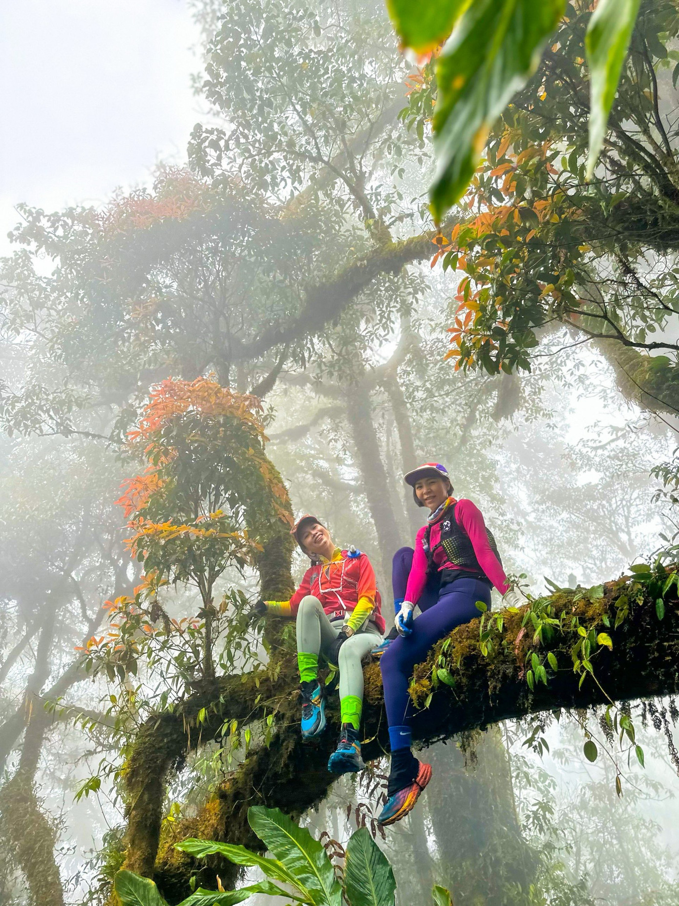 Với nhiều bạn trẻ, mỗi chuyến đi về với thiên nhiên như một "liều thuốc chữa lành cho tâm hồn".
