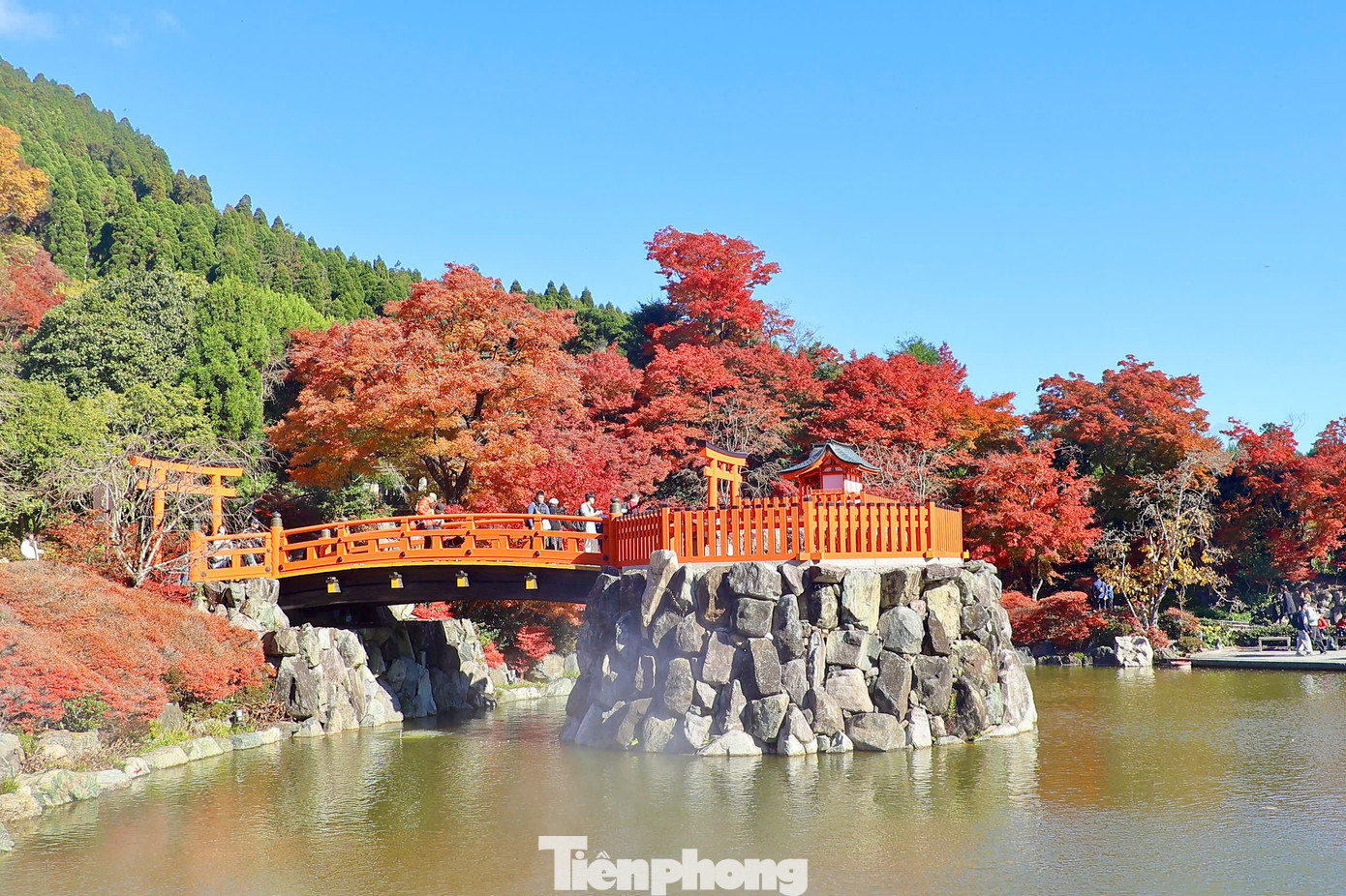Katsuo-ji là ngôi chùa nằm ở Mino, phía bắc thành phố Osaka. Nằm trên ngọn núi bao phủ bởi những tán phong, đây vốn là nơi ngắm cảnh lá đỏ nổi tiếng nhất Osaka. Katsuo-ji là ngôi chùa nằm ở Mino, phía bắc thành phố Osaka. Nằm trên ngọn núi bao phủ bởi những tán phong, đây vốn là nơi ngắm cảnh lá đỏ nổi tiếng nhất Osaka.