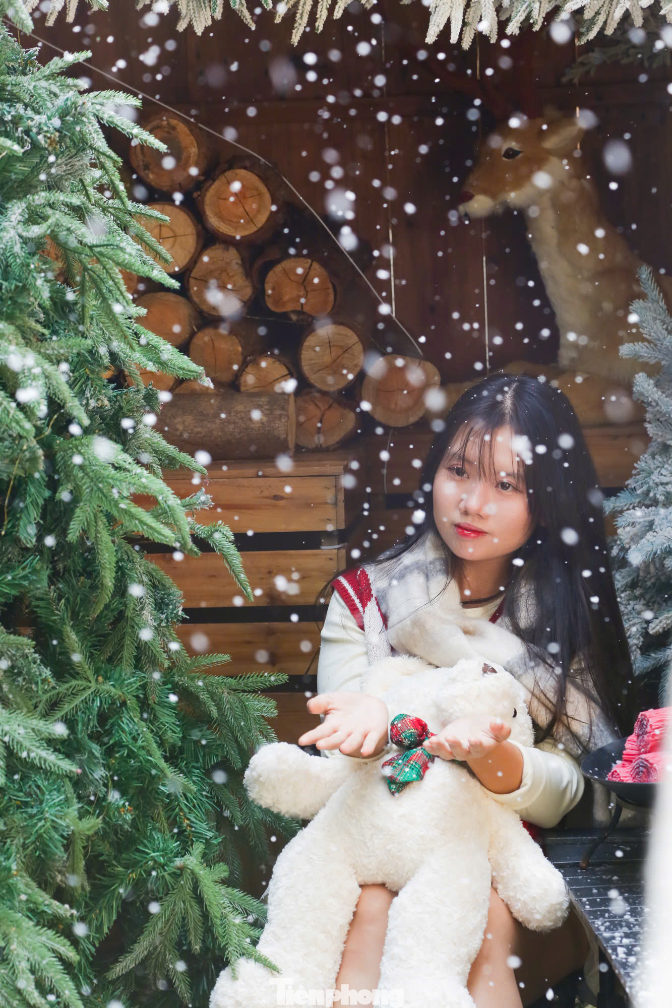 Các địa điểm này thu hút khách hàng bởi khung cảnh tuyết rơi độc đáo.