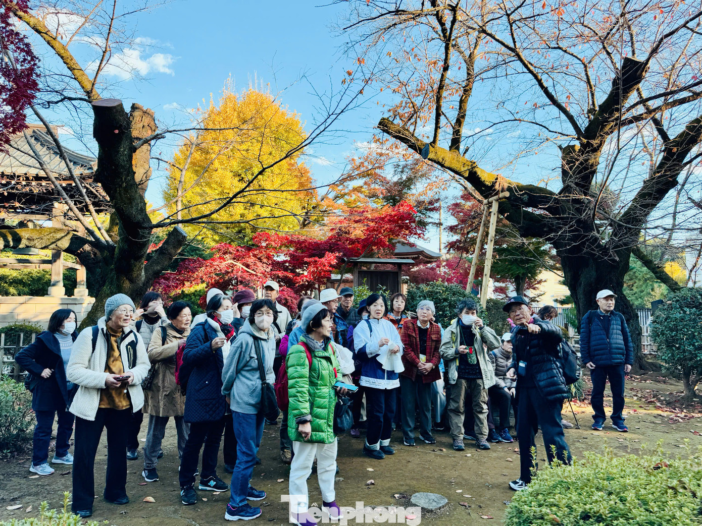 Đền Gotokuji Tokyo từ lâu đã trở thành địa điểm du lịch tâm linh đặc sắc thu hút rất đông du khách thăm quan. Du khách không chỉ khám phá vẻ đẹp đặc sắc của đền Gotokuji mà còn tìm hiểu thêm được ý nghĩa của những con mèo thần tài Maneki- neko đáng yêu.