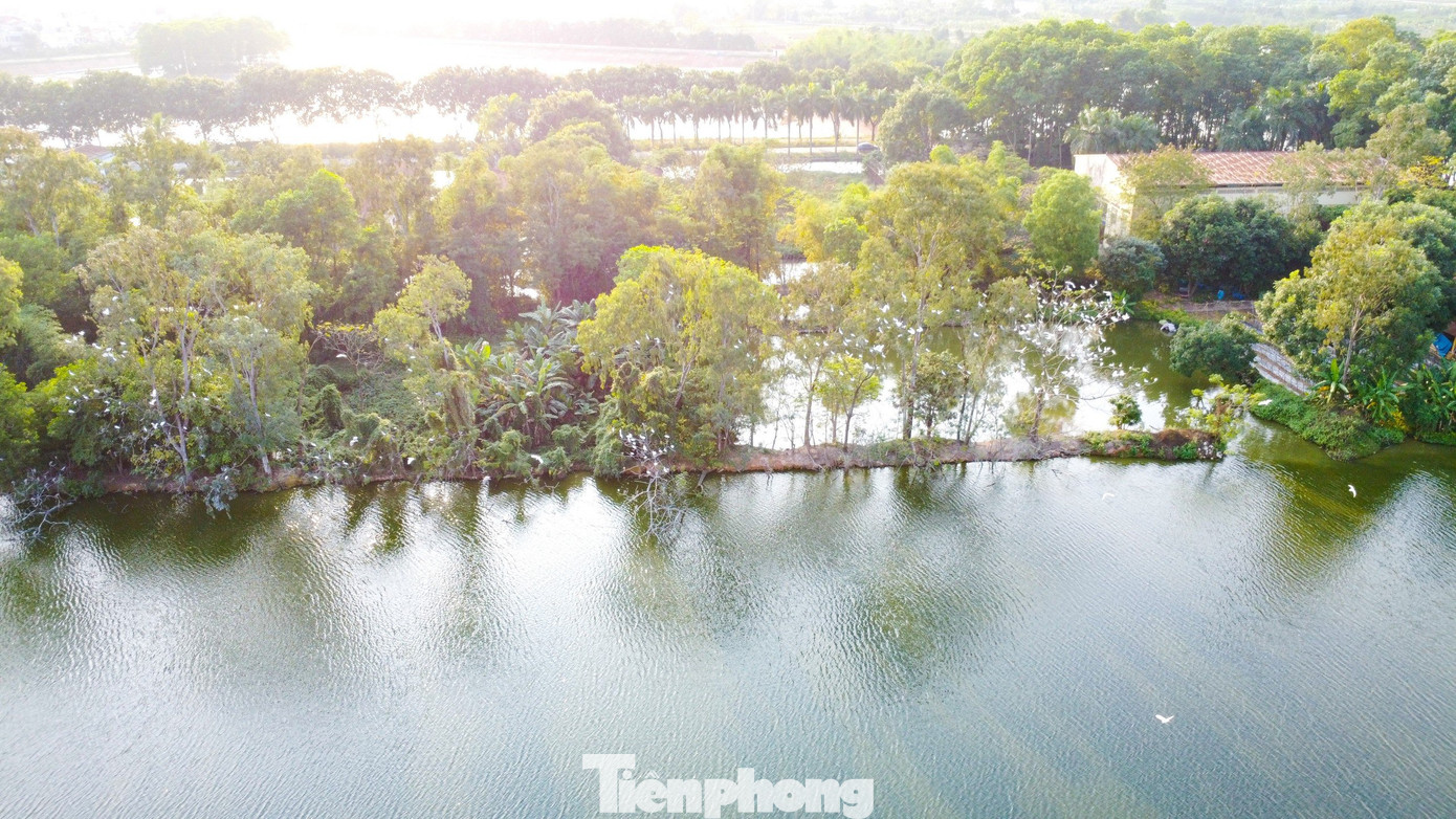 Các loài chim nước cư trú từ đầu những năm 90 của thế kỷ 20, theo thời gian, số lượng các loài chim nước tăng lên nhanh chóng, tạo ra một khu hệ chim đông đúc với hàng nghìn cá thể. Các loài chim nước cư trú từ đầu những năm 90 của thế kỷ 20, theo thời gian, số lượng các loài chim nước tăng lên nhanh chóng, tạo ra một khu hệ chim đông đúc với hàng nghìn cá thể.