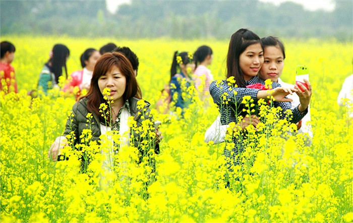 Giữa cánh đồng hoa cải vàng trải dài vô tận dưới nền trời xanh mênh mông, các bạn trẻ như thả mình vào với thiên nhiên. Giữa cánh đồng hoa cải vàng trải dài vô tận dưới nền trời xanh mênh mông, các bạn trẻ như thả mình vào với thiên nhiên