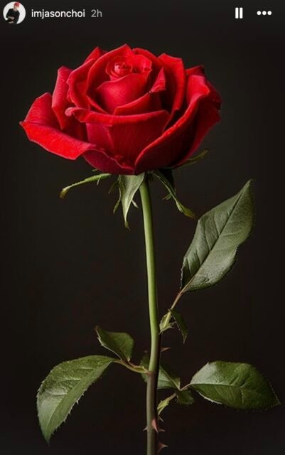 Jason Choi cũng bị đưa vào tầm ngắm, đặc biệt sau khi đăng bức ảnh hoa hồng đầy ẩn ý. Jason Choi cũng bị đưa vào tầm ngắm, đặc biệt sau khi đăng bức ảnh hoa hồng đầy ẩn ý.