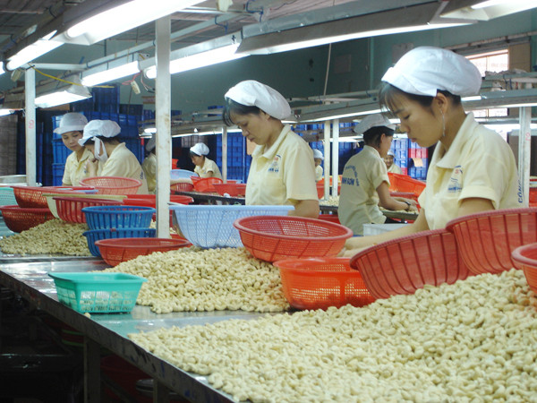 Làm việc quần quật nhưng cuối năm không ít công nhân ngậm ngùi nhìn khoản thưởng Tết chỉ vài trăm nghìn, không đủ tiền về quê. Ảnh: L.N