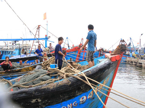 Dự báo đường đi của siêu bão Haiyan (Nguồn: Trung tâm Dự báo Khí tượng Thủy văn T.Ư)
