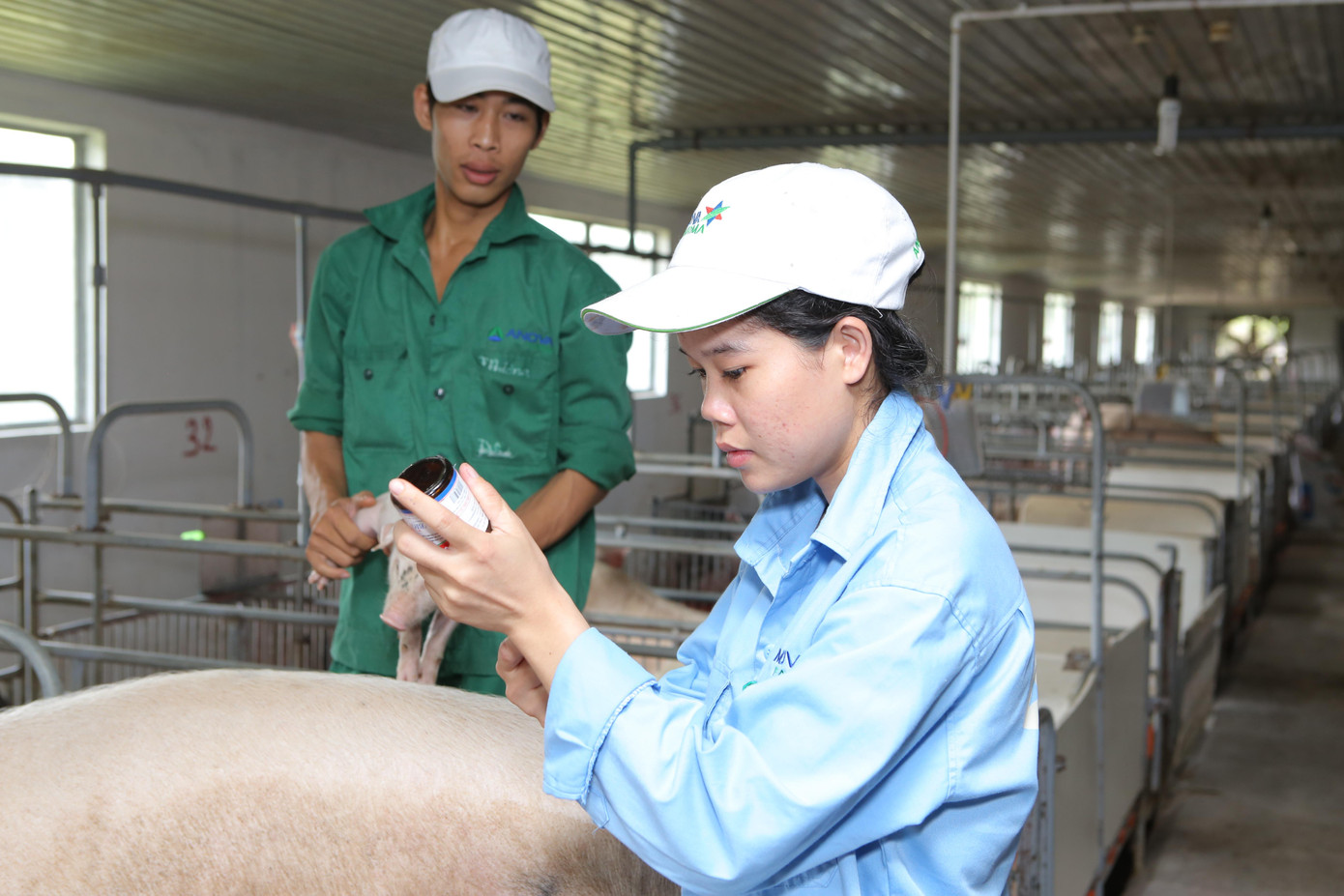 Nova Consumer đứng đầu thị trường trong lĩnh vực thuốc và vaccine thú y