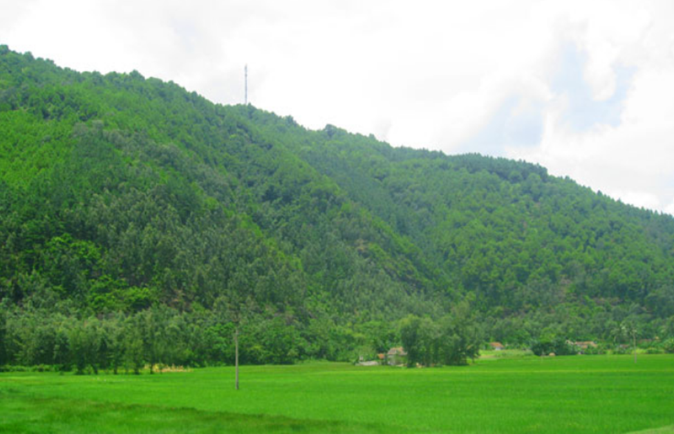 Quang cảnh khu vực Tây Nam núi Linh Trường, huyện Hoằng Hóa.